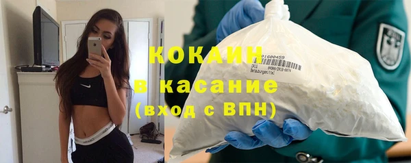 шишки Армянск