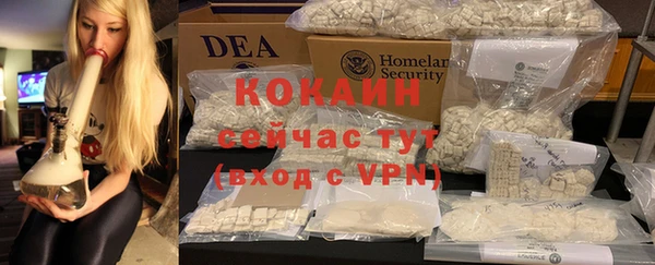 шишки Армянск